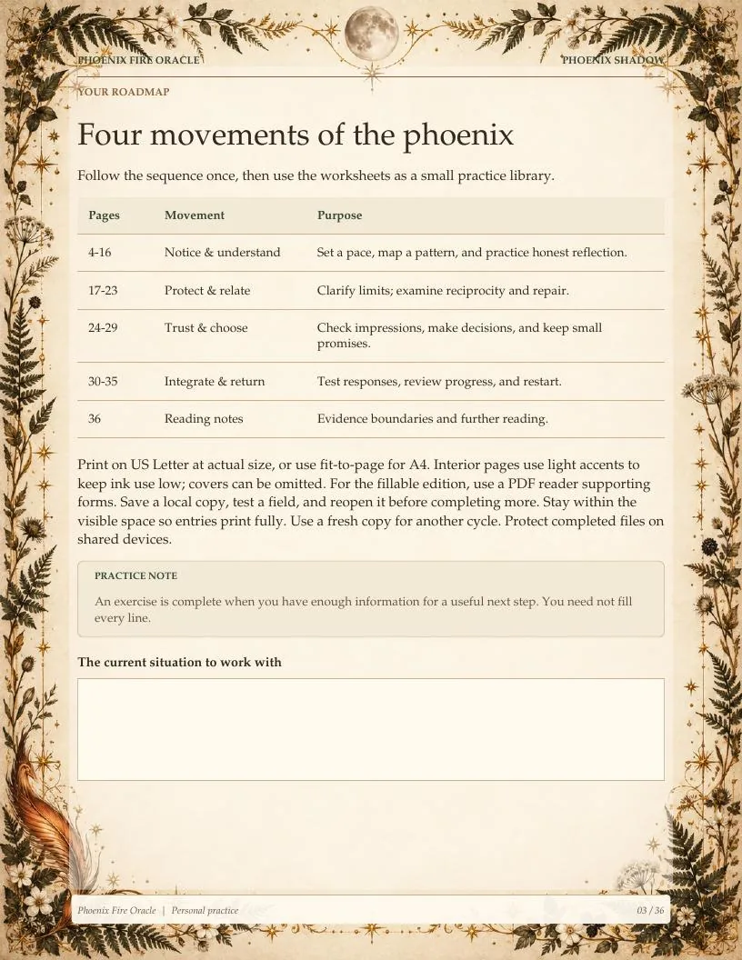 Phoenix Shadow Workbook exercise page